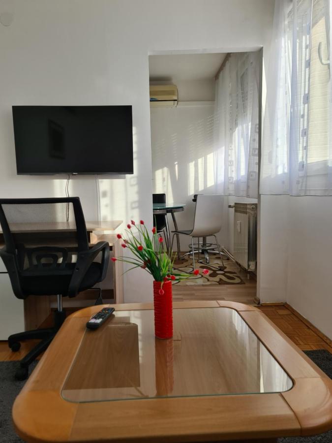 Apartman U Velikoj Gorici Zeljko Велика-Горица Экстерьер фото