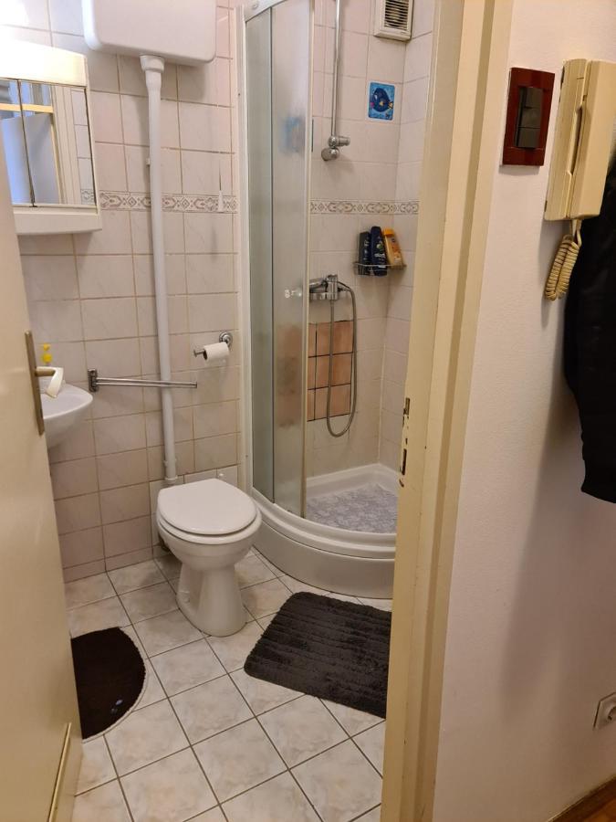 Apartman U Velikoj Gorici Zeljko Велика-Горица Экстерьер фото